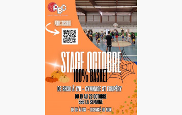 STAGE BASKET VACANCES