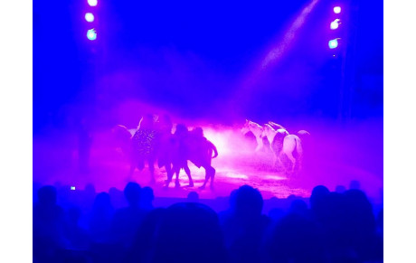 Sortie au Cirque GRUSS