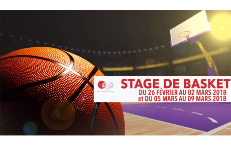 Stage Vacances Basket
