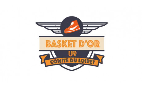 ANNULE - BASKET OR