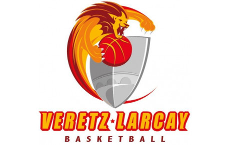 VERETZ LARCAY BASKET